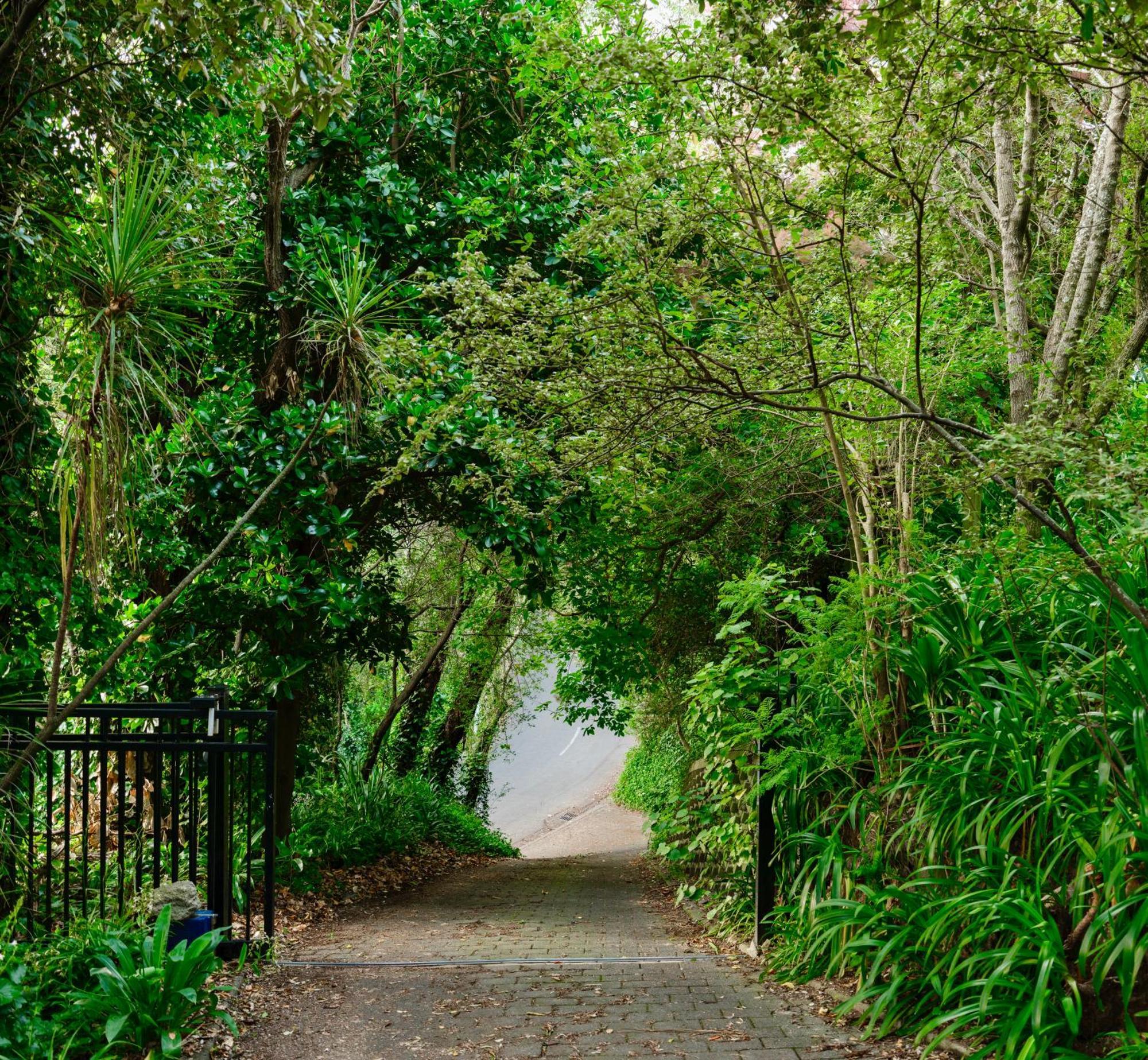 House Of Pania Bnb Napier Exterior foto